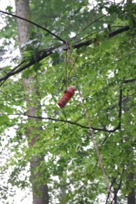 Das Serum der Sehkraft Das Serum der Sehkraft