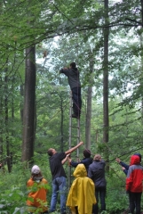 Hoch hinaus zum Serum der Sehkraft Hoch hinaus zum Serum der Sehkraft