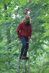 Hoch hinaus zum Serum der Sehkraft Hoch hinaus zum Serum der Sehkraft